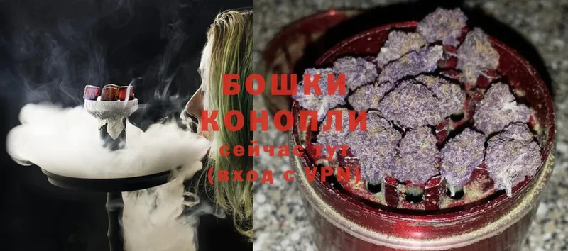 Бошки марихуана SATIVA & INDICA  Гвардейск 